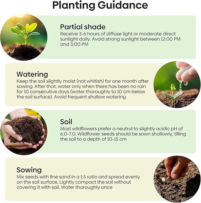 13 Varieties Partial Shade Wildflower Seeds, Mixed Annual and Perennial Flower Seeds for Garden, Yard, Container Planting, 1 Ounce