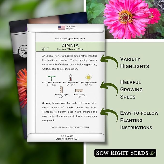 Sow Right Seeds - Zinnia Cactus Flower Seeds for Planting - Beautiful Flowers to Plant in Your Garden - Non-GMO Heirloom Seeds - Red and Pink Variety - Attract Pollinators - Beautiful Cut Flower (4)
