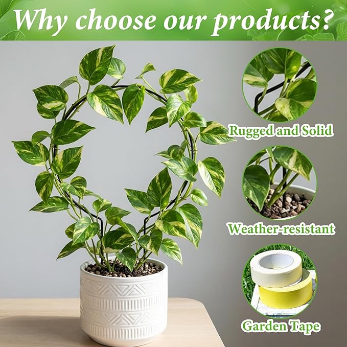 2 Pack Heart Trellis for Indoor Plants Round Plant Trellis for Climbing Plants Indoor Small Hoya Trellis Plant Support for Hoya Pothos Vine Ivy Monstera Flower Philodendrons Dischidia