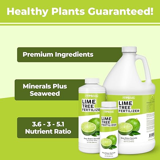 Lime Tree Fertilizer – Liquid Plant Food for More Fruit, Better Flowering & Stronger Root Development, 32 oz