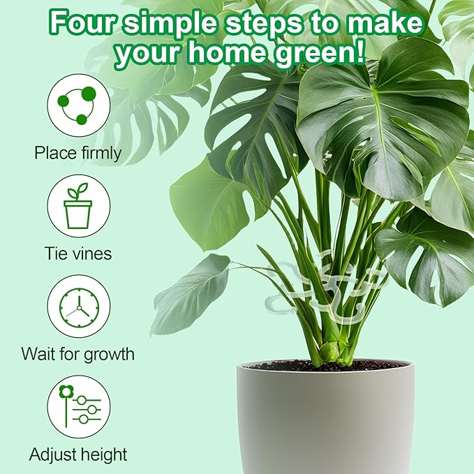 BOXOB 4pcs Plant Stem Support, 2 Sizes Climbing Houseplant Stem Holder Hook Monstera Support Plant Stabilizer for Indoor Outdoor Thriving Growth