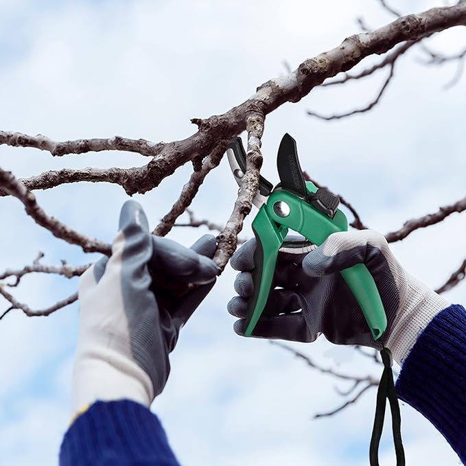 Nevlers 8" Green Anvil Pruning Shears Heavy Duty | Hand Pruners for Gardening w/Steel Blades, Safety Lock & Ergonomic Grip | 8mm Cut Plant Shears & Garden Clippers Handheld for Dead Stems & Branches