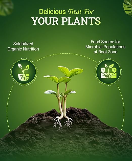 FoxFarm Bush Doctor Bembé Sweet & Dandy Liquid Plant Fertilizer - Complex Nutrient Blend - 0-1-3 PK Fertilizer for In-Ground & Hydroponic Gardens - 1 Pint