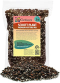 GARDENERA Monstera Lechleriana Schott Soil Mix - Specially Formulated for Strong Root Development - 2 Quart