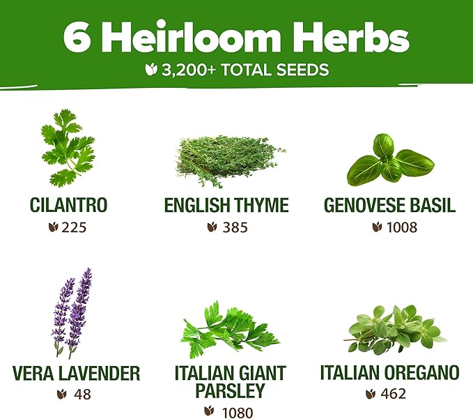 HOME GROWN 6 Herb Seeds for Planting 2,650+ Non-GMO Heirloom Seeds | Extra Large Variety Pack Herb Kit – Indoor Outdoor & Hydroponic | Culinary Seed Set | Grow Your Own Herbs | Gift for Beginners