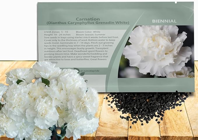 Outsidepride White Carnation Seeds - 2000 Pcs Biennial, Easy to Grow Flower Seeds for Planting with Fragrant Blooms, Ideal for Pollinators, Cutting Gardens, Bouquets, & Floral Arrangements
