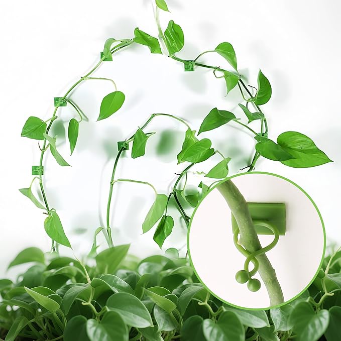 Beurio Plant Clips for Climbing Plants, 30 Pcs 3 Sizes Set Vine Wall Clips, Self Adhesive Durable Plastic Ivy and Pothos Support Holders, Indoor Greenery Arrangement, Wall Decor, Cable Management