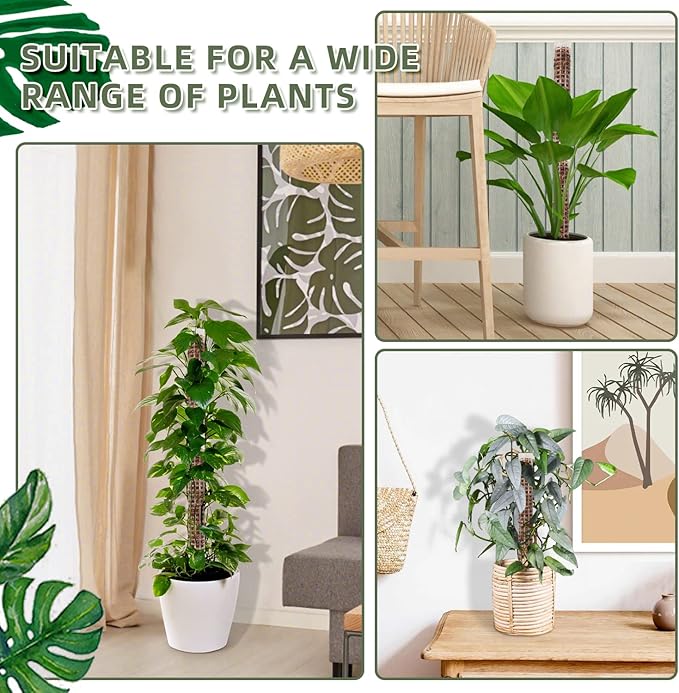 Small Moss Pole for Monstera - Stackable & Refillable Plastic Moss Poles for Climbing Plants with Large Mesh Design (4Pack-White-Small)
