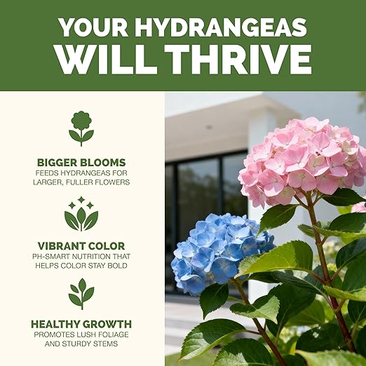 Hydrangea Fertilizer – Liquid Plant Food for Bigger Blooms, Rich Flower Color & Stronger Root Development, 8 oz