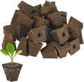 20-Pack Grow Sponges, 1.5x0.8x1.5 Inch Replacement Root Growth Sponges Seed Pods for Plant Rooting/Seed Germination/Hydroponic Gardens System Supplies, Starter Plug for Seeds