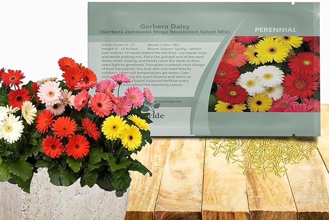 Outsidepride Revolution Select Mix Gerbera Seeds - 10 Pcs Perennial, Compact & Low Maintenance, Flower Seeds for Planting w/Vibrant Blooms, Ideal for Garden Landscaping & Cut Flower Arrangements