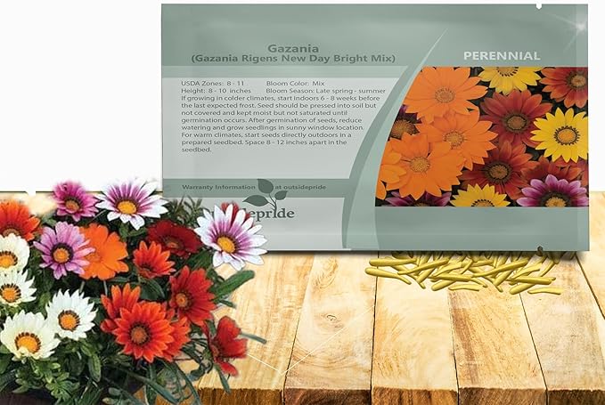 Outsidepride New Day Bright Mixed Gazania Seeds for Planting – 50 Pcs Perennial, Low-Maintenance, Drought-Tolerant Ground Cover Seeds for Vibrant Summer & Fall Flowers, Great for Outdoor Gardens