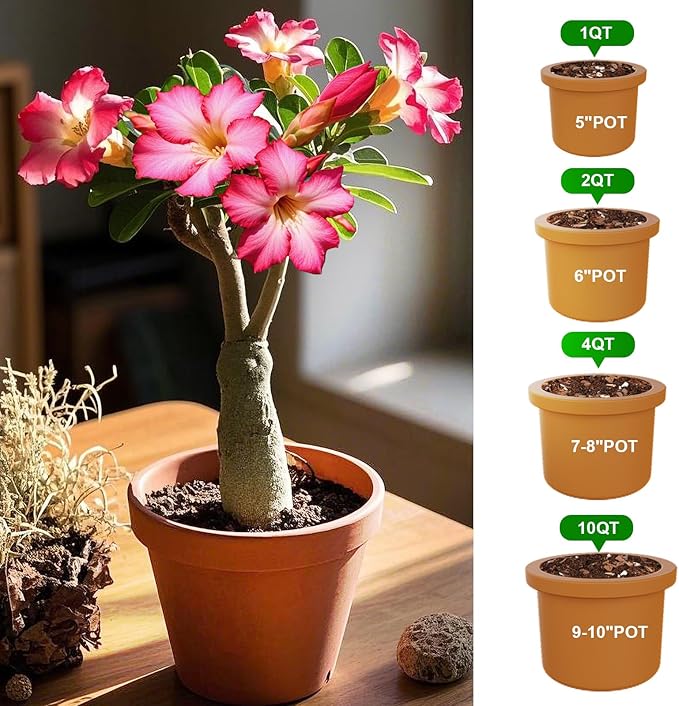 Organic Desert Rose Potting Soil Mix for Healthy Growth 1qt - 100% Natural Potting Mix - Specially Formulated Nutrient-Rich Plant Soil for Desert Rose Plant.