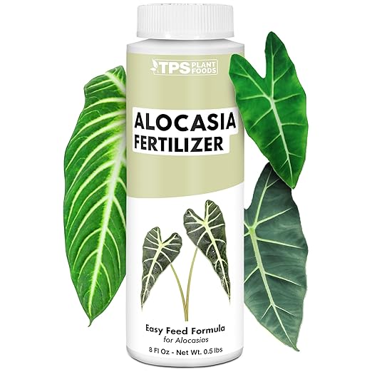 Alocasia Fertilizer – Liquid Plant Food for Bigger Leaves, Stronger Roots & Healthy Tropical Growth, 8 oz