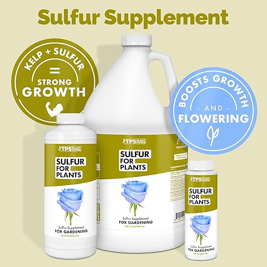 Sulfur Fertilizer – Liquid Sulfur Amendment for Greener Leaves, Better Nutrient Uptake & Stronger Plants, 8 oz