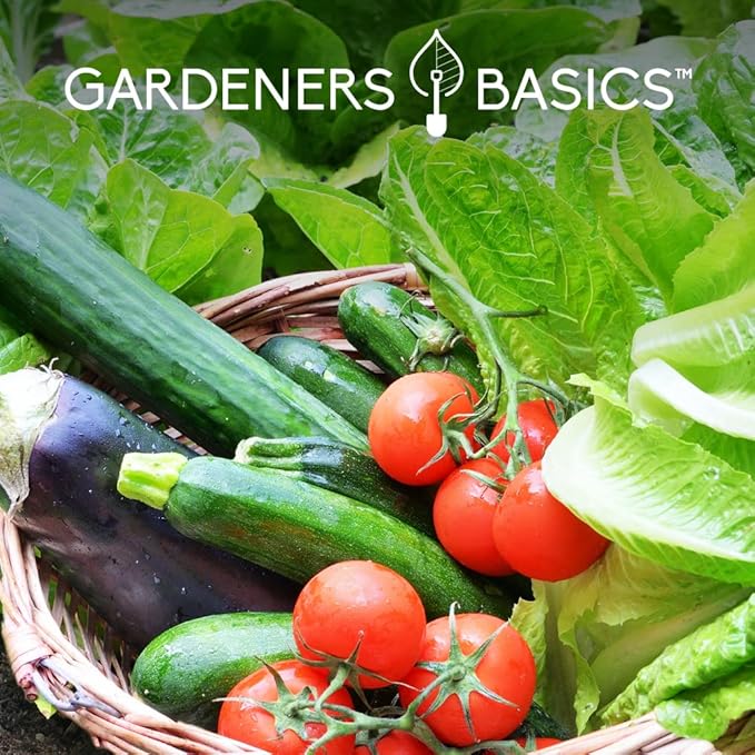 Gardeners Basics Seed Safe Kit – 35 Easy-to-Grow Heirloom Vegetable Seeds for Beginners – Non-GMO Garden Starter Set with 17,000+ Seeds – Perfect Gardening Gift for New Gardeners or Families