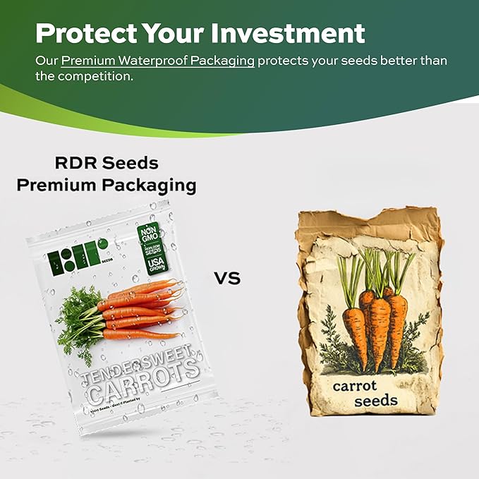 1000 Tendersweet Carrot Seeds for Planting - Heirloom, Non-GMO, USA Grown - by RDR Seeds
