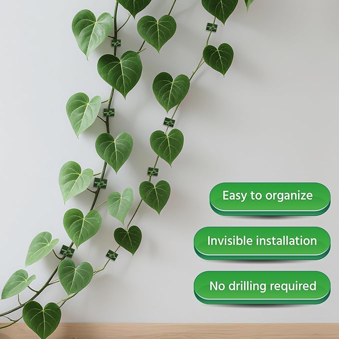 Beurio Plant Clips for Climbing Plants, 30 Pcs 3 Sizes Set Vine Wall Clips, Self Adhesive Durable Plastic Ivy and Pothos Support Holders, Indoor Greenery Arrangement, Wall Decor, Cable Management