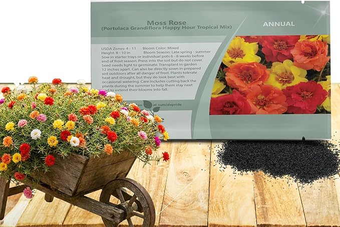 Outsidepride Tropical Mixed Moss Rose Seeds - 250 Pcs Annual, Drought & Heat Tolerant, Pollinator Friendly Ground Cover Seeds for Planting w/Vibrant Blooms & Succulent Foliage, Ideal for Xeriscaping