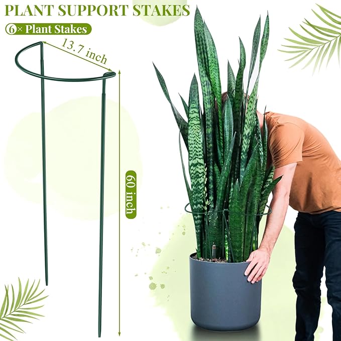 Tioncy 6 Pcs 60 H x 19.69 W Plant Support Stakes Cages for Garden, Metal Half Round Plants Tension Rods for Indoor Outdoor Large Tall Flower Vegetables Tomato Peony Rose Support