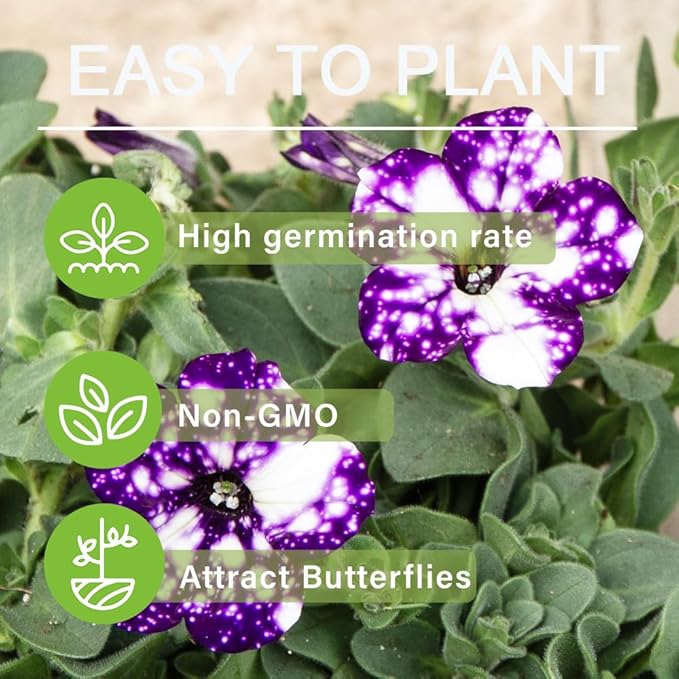 300+ Annual Petunia Flower Seeds for Planting-Easy Wave Series Petunia Garden Seeds Non-GMO Heirloom