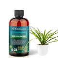 𝐏𝐑𝐄𝐌𝐈𝐔𝐌 Liquid Silica Plant Supplement - 8oz (250mL) - Spider Plants Liquid Silica Boost Fertilizer - Stronger Stems & Healthy Leaves for Indoor & Outdoor Spider Plants (Makes 45 Gallons)