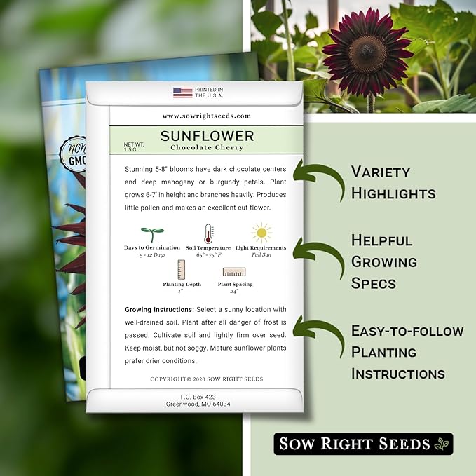 Sow Right Seeds - Chocolate Cherry Sunflower Seeds for Planting - Non-GMO Heirloom Packet with Instructions for Growing - Beautiful Giant Flower - Rare Burgundy and Dark Brown Petals (3)