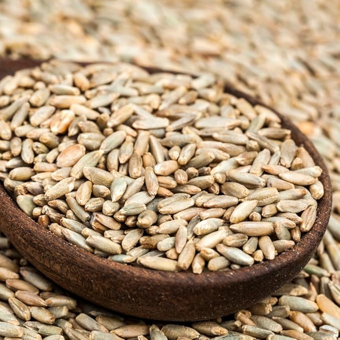 3 Pound Rye Cover Crop Seeds, Rye Grass Seeds for Lawn, Outdoor Growing, Fast-Growing Grass Seed