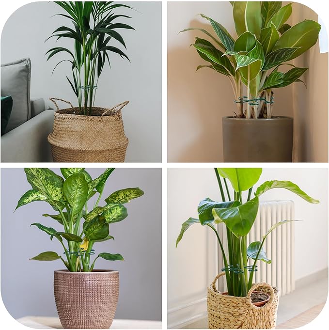 4pcs Monstera Support, Green Iron Plant Stabilizer Stable Plant Stem Support Structures for Indoor & Outdoor Thriving Growth
