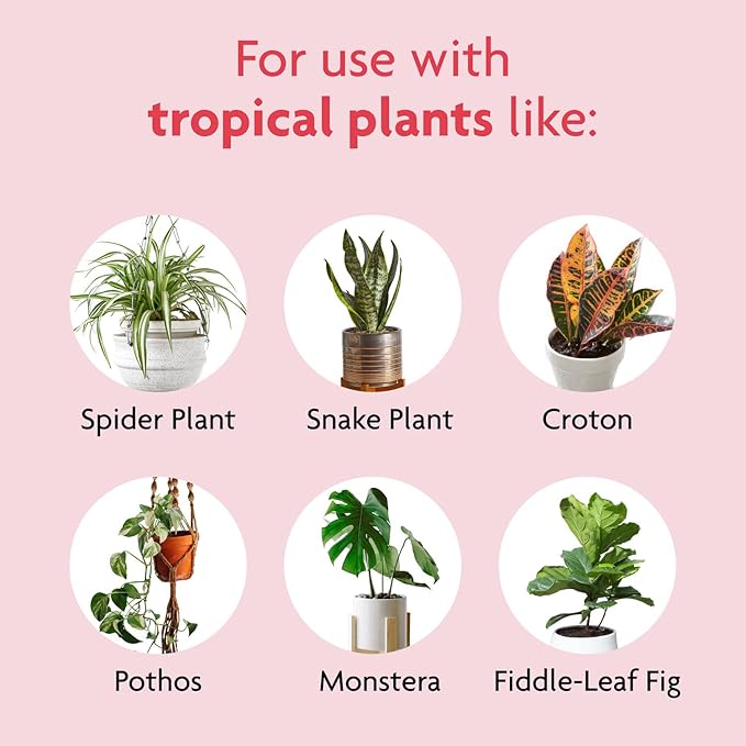 Miracle-Gro Tropical Potting Mix - Growing Media for Tropical Plants Living in Indoor and Outdoor Containers, 6 qt. (4-Pack)