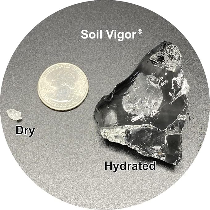 The Ultimate Super Absorbent Polymer for Thirsty Plants - Reduce Watering, Boost Growth, and Save Water-1 Pound
