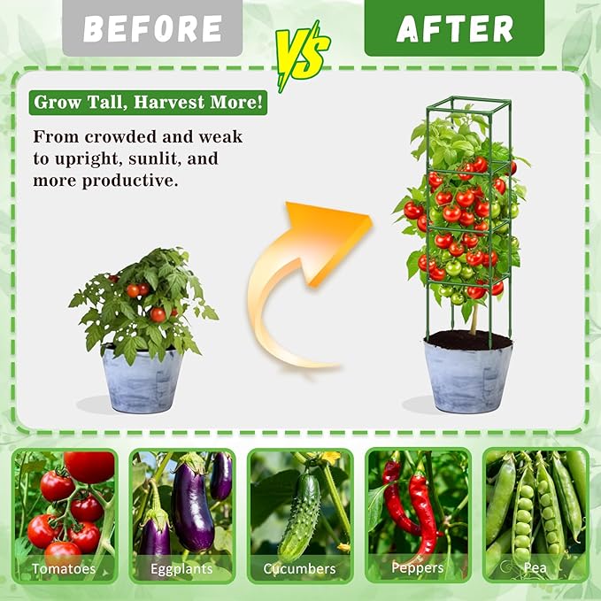 Riare 4 Pack Square Tomato Cages for Garden Plant Support- Up to 60 Inch Tomato Cage Garden Stakes Tomato Trellis for Potted Plants Raised Garden Bed Climbing Vegetables Flowers Outdoor Indoor