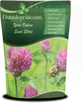 Outsidepride Perennial Red Clover Seeds - 2 lbs. Self-Seeding, Nitrocoated, Inoculated Clover Seeds for Lawn, Yard, Forage, Pasture, Hay, Nitrogen Fixation, Soil Improvement & Crop Rotation Programs