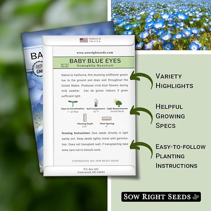 Sow Right Seeds - Baby Blue Eyes Flower Seeds for Planting - Annual Plant with Sweet Essence - Non-GMO Heirloom Packet with Instructions to Plant a Home Garden - Native California Wildflower (1)