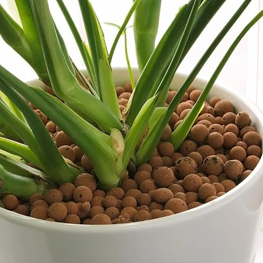 HOZEON 12LBS Natural Clay Pebbles, Expanded Clay Pebbles Hydroponic Rocks, Small LECA Clay Pebbles for Plants, Hydroponic Gardening, Orchids, Drainage, Decoration