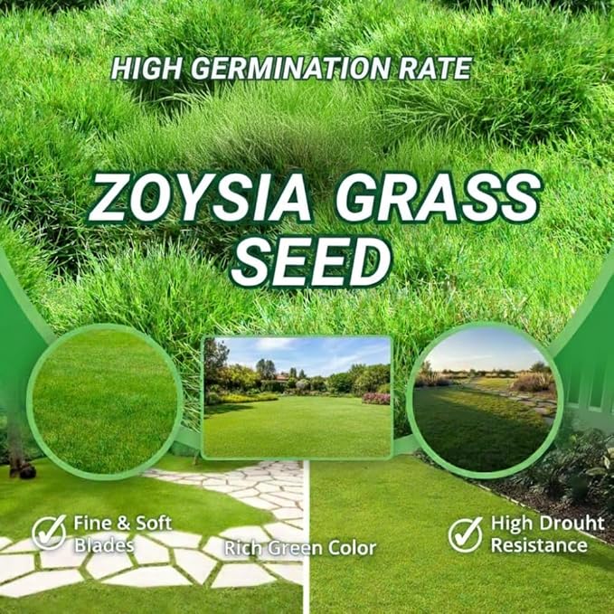 40000 Zoysia Grass Seeds, Lawngrass Seeds Zoysia Seeds, Low-Maintenance for Home Yards and Gardens