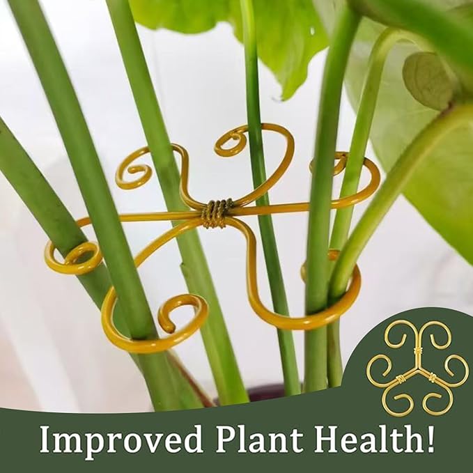 4PCS Iron Monstera Plant Support - 4.1IN Plant Support Stakes for Indoor Plants, Stable Plant Stakes and Supports, Ideal Plant stem Support for Turtle Shell Bamboo & Houseplants