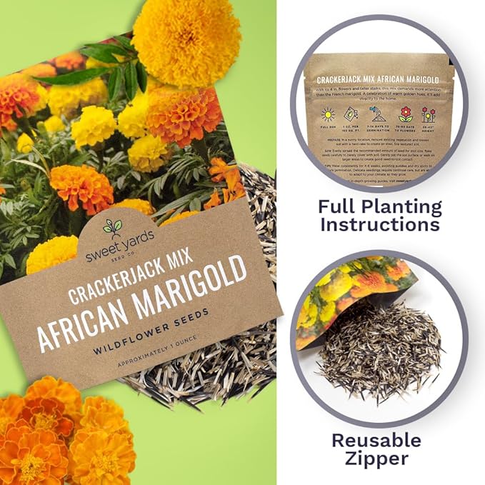 Sweet Yards African Marigold Seeds Mix Crackerjack Mix - Bulk 1 Ounce Packet - Over 10,000 Seeds - Huge Orange and Yellow Blooms - Adaptable to All US Regions - Pollinator Friendly