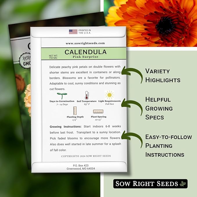 Sow Right Seeds - Pink Surprise Calendula Seeds for Planting - Gorgeous Garden Flowers - Guaranteed to Grow - Non-GMO Heirloom Variety - Ideal for Outdoor Gardening and Pollinator Attraction (1)