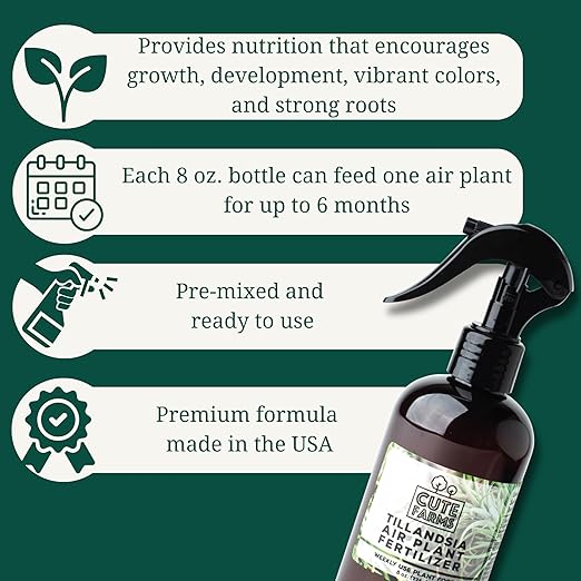 Cute Farms Tillandsia Air Plant Fertilizer | Gentle Weekly Use Formula Plant Food | Formulated Nutrients for Air Plants (Three - 8 oz. Spray Bottle)