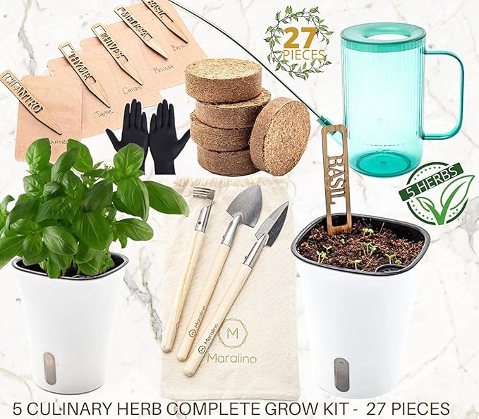 5 Herb Garden Kit Indoor - Kitchen Windowsill Self Watering Herb Garden Kit Indoor Starter Set Grow Organic Seeds Basil, Cilantro, Chives, Thyme, Lemon Balm (Melissa)