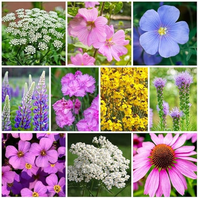 Park Seed Easy DIY Planting Sow Effortless Collection Seed Mats, Perennial Mix