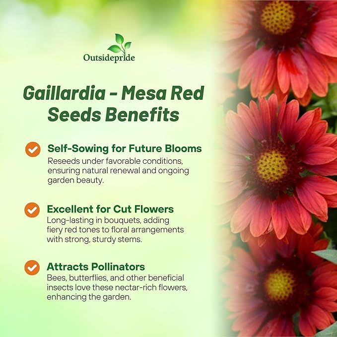 Outsidepride Gaillardia Grandiflora Mesa Red Blanket Seeds for Planting - 25 Pcs Perennial Flower Seeds, Heat & Drought Tolerant for Xeriscaping, Borders, & Small Garden Spaces