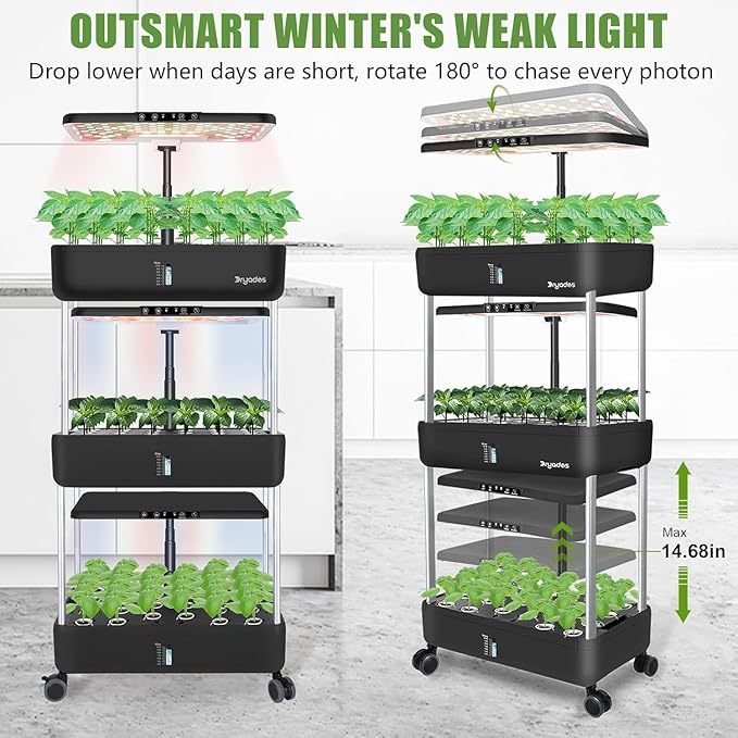 DRYADES 66-Pod Indoor Hydroponic Growing System + 3 Free Seeds Starter Kit (Lettuce, Salad Mixed, Basil Seeds) – Dual 53W Full-Spectrum LED, 10-L Water Tank, 3-Tier Grow Pods (66 Pods)