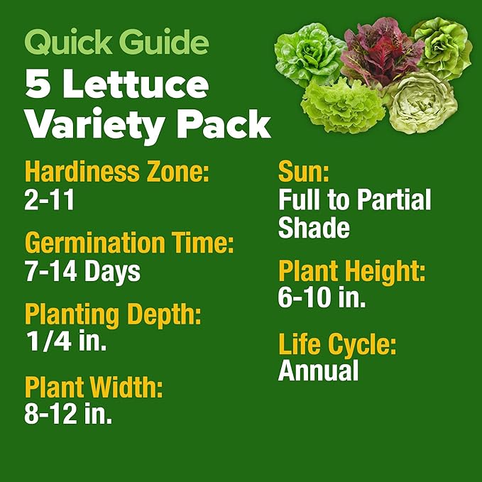 HOME GROWN 5 Lettuce Seed Pack 3950 Heirloom Vegetable Seeds for Indoor, Outdoor, or Hydroponic Growing Black Seeded Simpson, Red Romaine, Bibb, Buttercrunch, Iceberg Varieties (Lactuca Sativa)