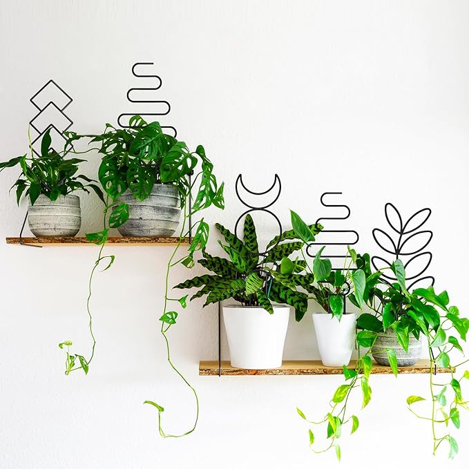 Plant Trellis for Climbing Plants Indoor, Small 14.6in Metal Trellis for Potted Plants, Mini Houseplant Hoya Pothos Trellis with Ties, Set of 4p Different Shap, Black