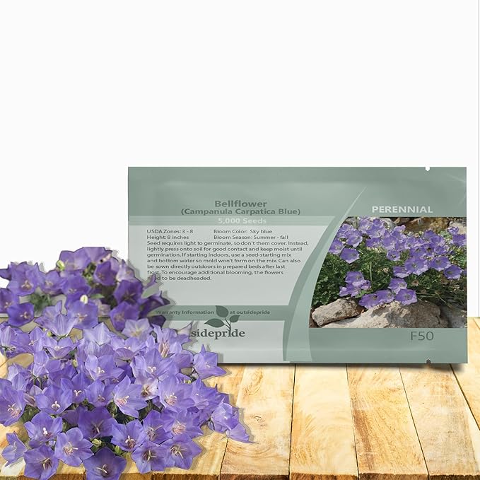 Outsidepride Carpatica Blue Bellflower Seeds for Planting - 10000 Pcs Perennial Mat-Forming Flower Seeds with Bell Shaped Blooms & Low Growth Habit for Edging Pollinator Gardens, Containers, & Borders