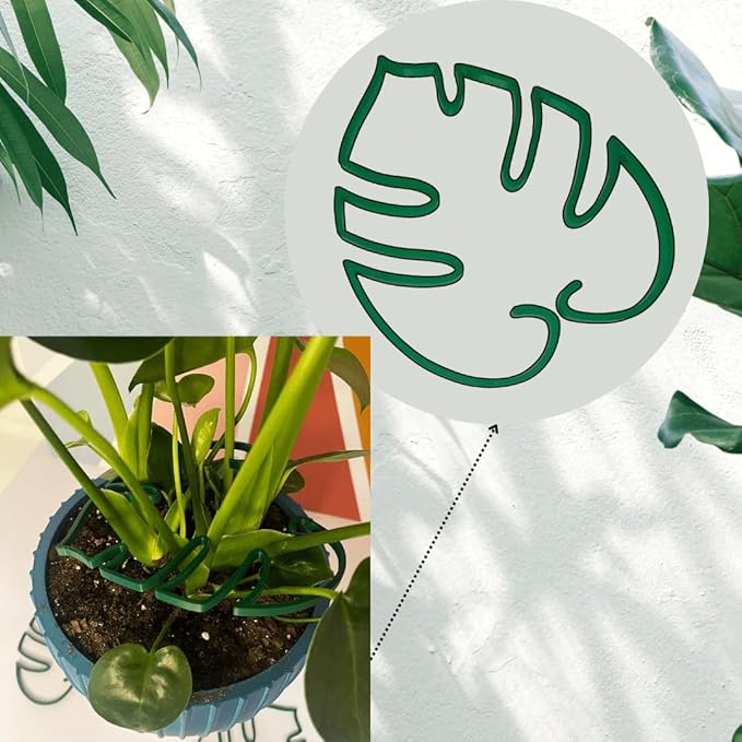 Chatelet Monstera Leaf Plant Support | Unique & Aesthetic Monstera Plant Support | Keeps Plants Tame & Growing Vertical | Made in USA Small & Large Supports (Combo, Green), 30870