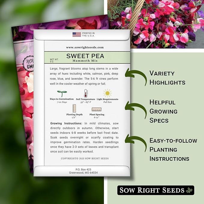 Sow Right Seeds - Mammoth Mix Sweet Pea Seeds for Planting - Beautiful Flowers to Plant in Your Garden - Non-GMO Heirloom Packet - Fragrant Colorful Blooms for Bouquets - Wonderful Gardening Gift (2)
