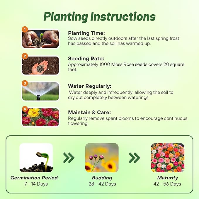 Outsidepride Happy Hour Mixed Moss Rose Seeds - 250 Pcs Annual, Drought & Heat Tolerant, Pollinator Friendly Ground Cover Seeds for Planting w/Vibrant Blooms & Succulent Foliage, for Xeriscaping